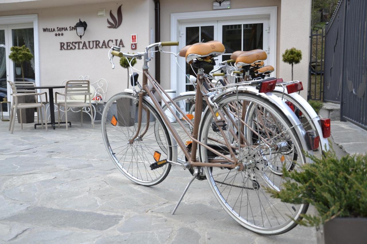 Willa Sepia Spa Wisła Eksteriør billede